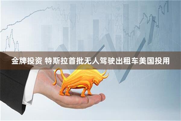 金牌投资 特斯拉首批无人驾驶出租车美国投用