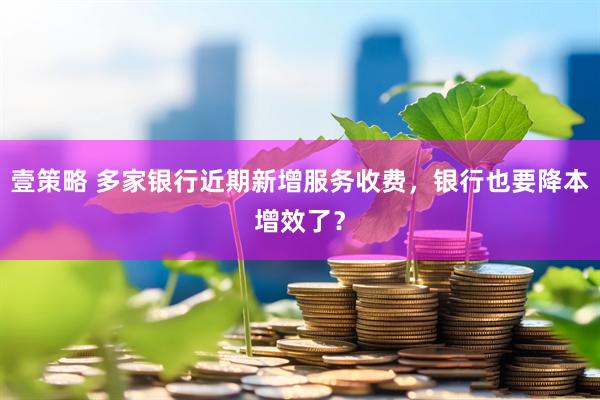 壹策略 多家银行近期新增服务收费，银行也要降本增效了？