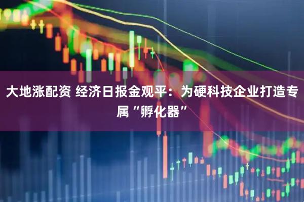 大地涨配资 经济日报金观平：为硬科技企业打造专属“孵化器”