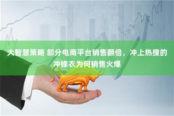 大智慧策略 部分电商平台销售翻倍，冲上热搜的冲锋衣为何销售火爆