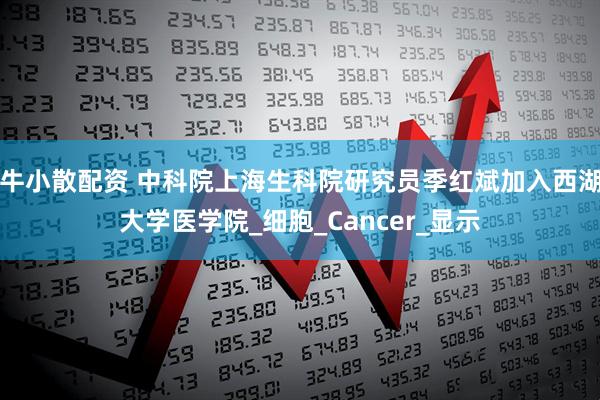 牛小散配资 中科院上海生科院研究员季红斌加入西湖大学医学院_细胞_Cancer_显示